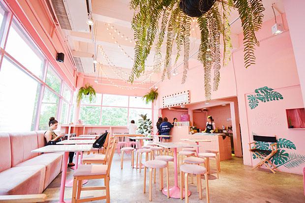 Pinkplanter X Bonca Cafe